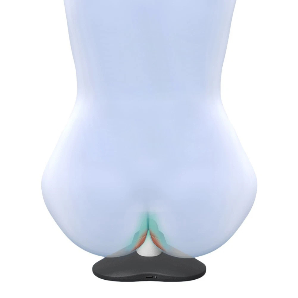 Align & Recover - PelviCore