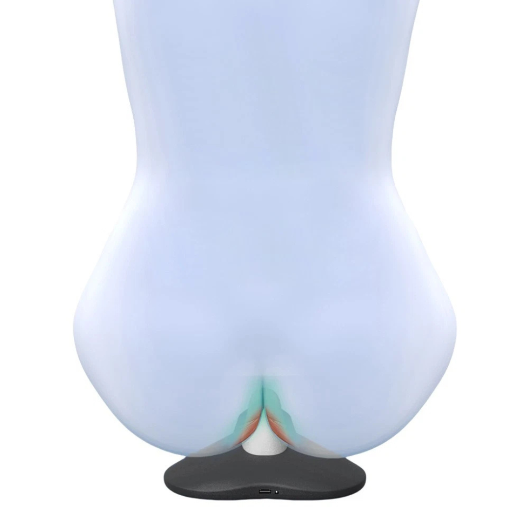 Align & Recover - PelviCore